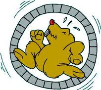 hamster-on-a-wheel