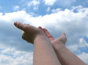 6a00d8341cbf9a53ef0120a6bba0d3970b